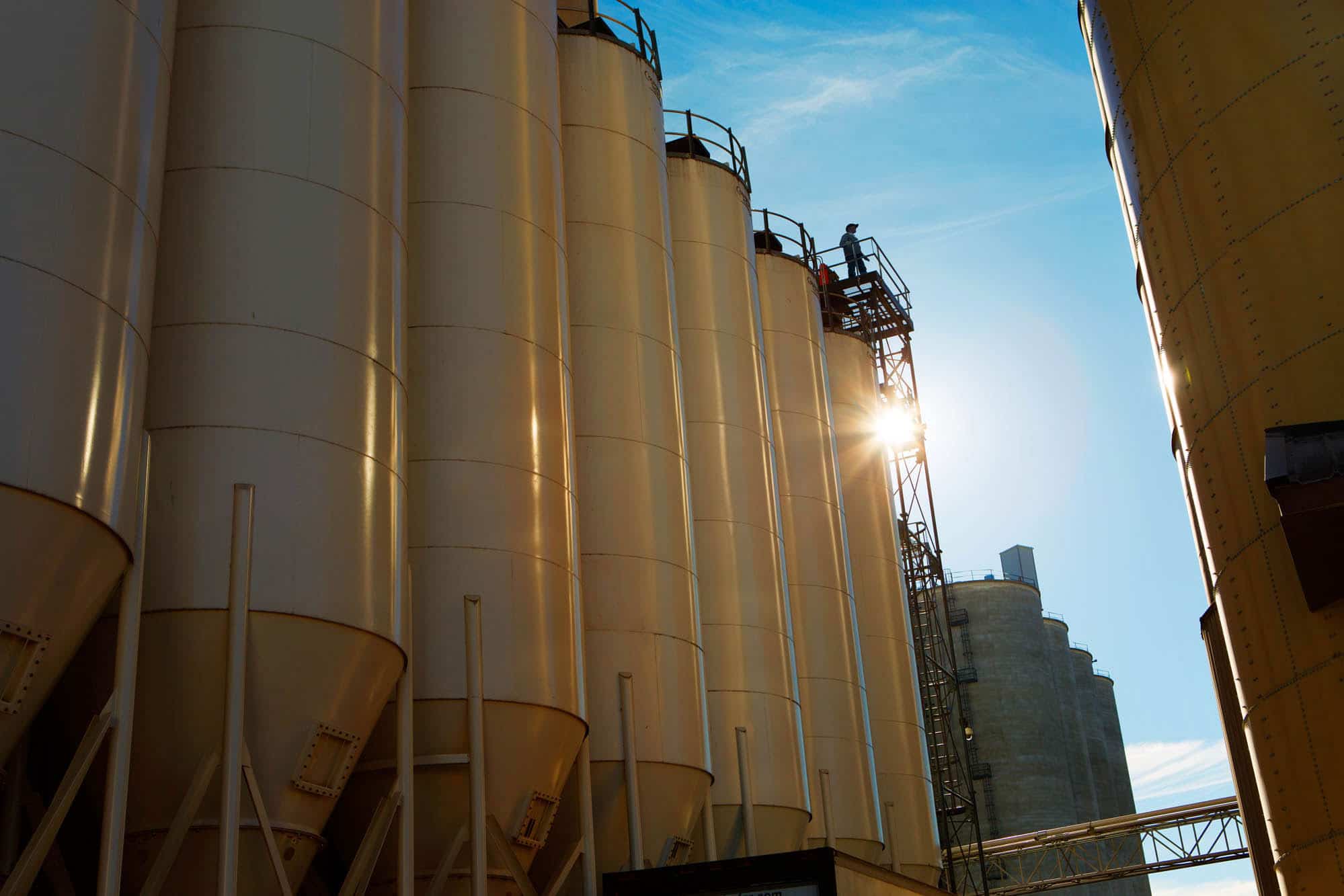 The Art of Milling at Grain Millers’ Specialized Facilities Grain Millers