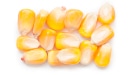 Whole Yellow Corn Kernels
