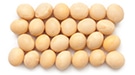 High Protein Soybeans