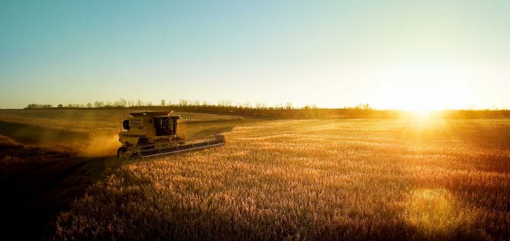 Farming Sustainability