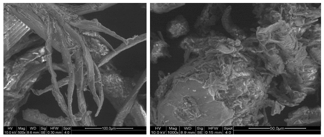 hemicelluloses of oat hull