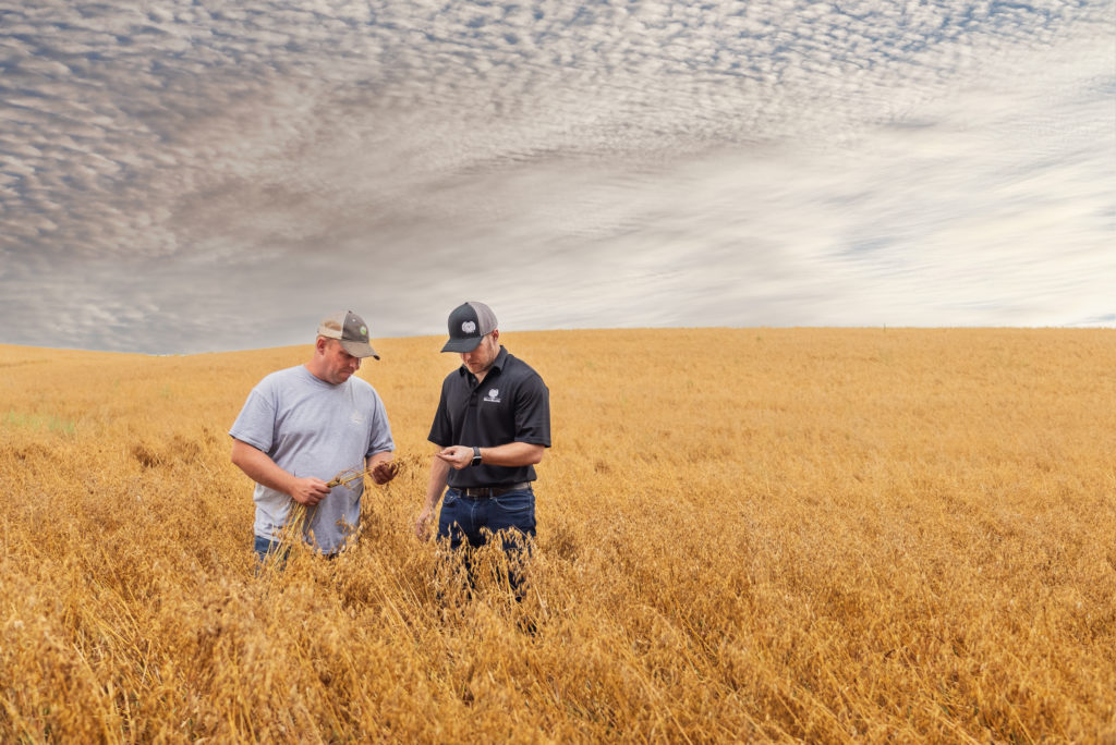 Improving Soil Health using Regenerative Ag Practices Grain Millers