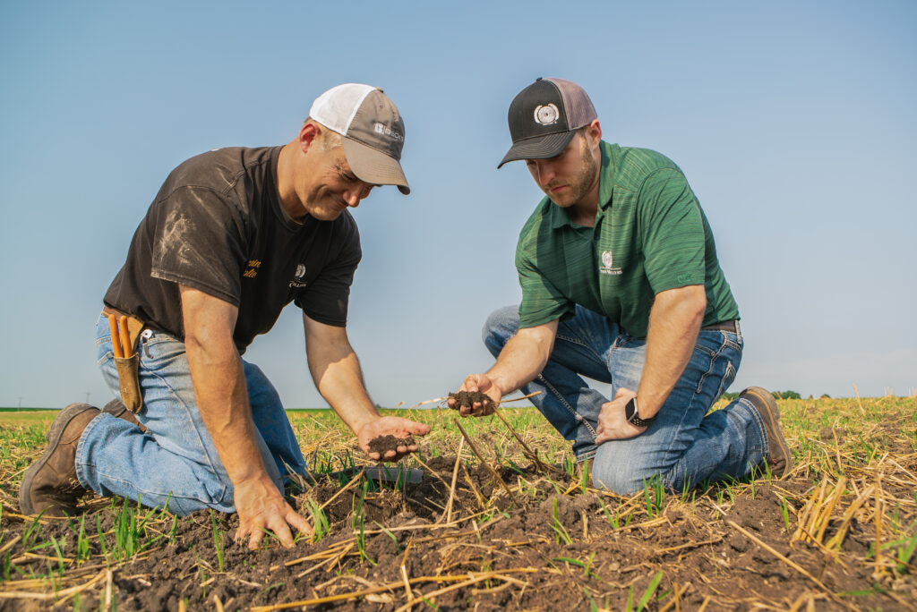 Post-Harvest Cover Crop Management