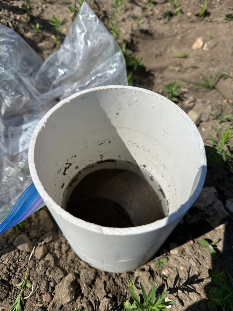 water-infiltration