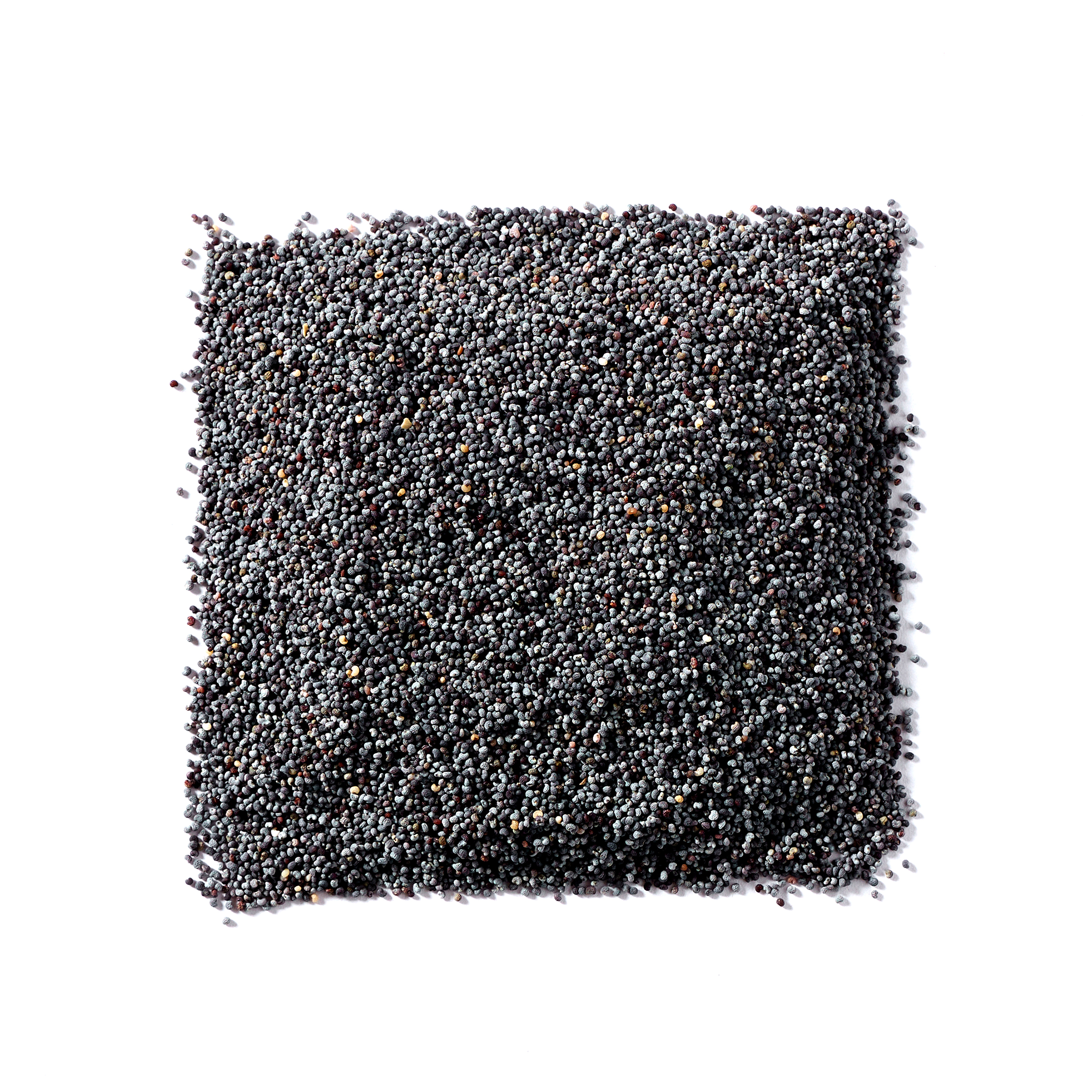 Poppy Seeds